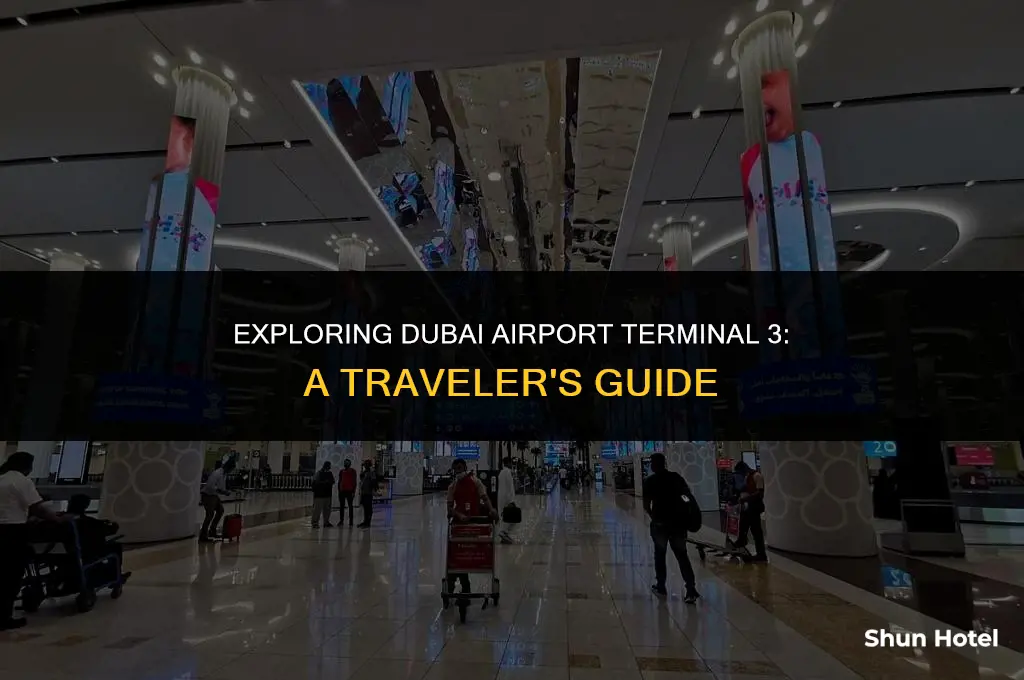 what to do in dubai airport terminal 3