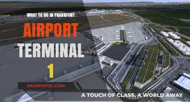 Exploring Frankfurt Airport Terminal 1: A Comprehensive Guide
