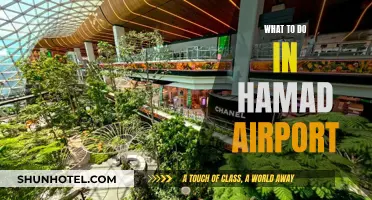 Explore Hamad Airport: Activities and Attractions