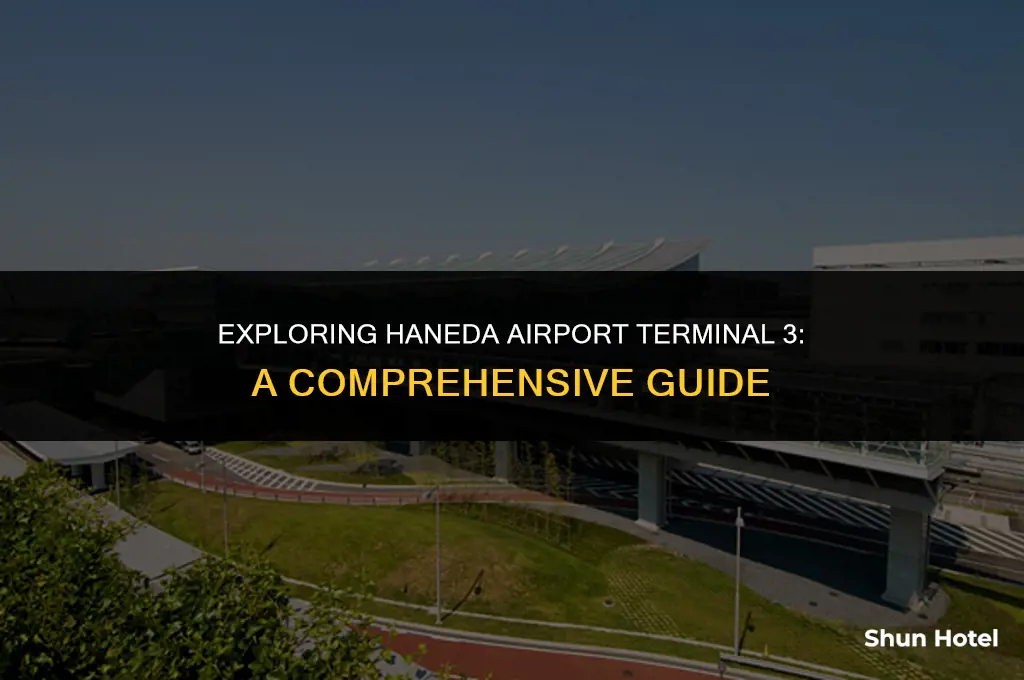 what to do in haneda airport terminal 3