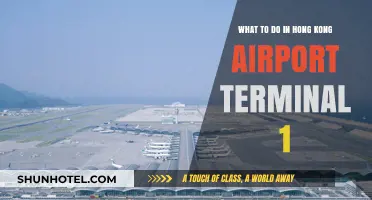 Exploring Hong Kong Airport Terminal 1: A Traveler's Guide