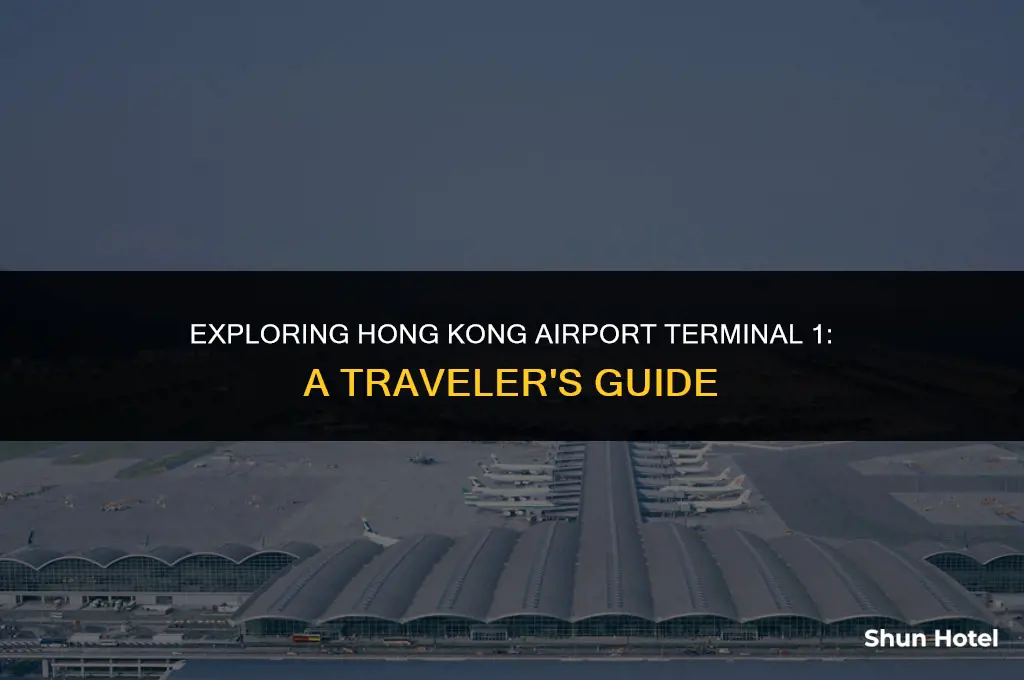 what to do in hong kong airport terminal 1