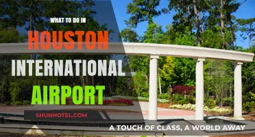 Exploring Houston International Airport: Top Activities and Hidden Gems