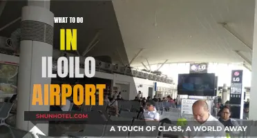 Iloilo Airport Layover: Things to Do and See