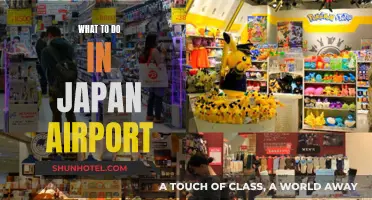 Exploring Japan's Airports: Activities and Attractions