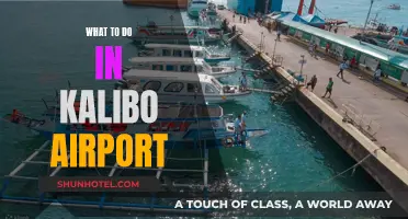 Exploring Kalibo Airport: Activities and Amenities