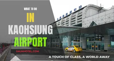 Kaohsiung Airport Layover: Things to Do and See