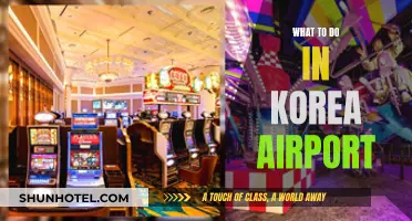 Exploring Korea: Airport Activities and Attractions
