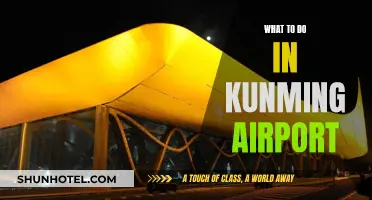 Exploring Kunming Airport: Things to Do and See
