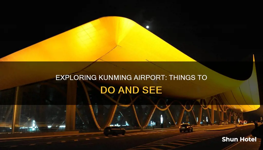 what to do in kunming airport