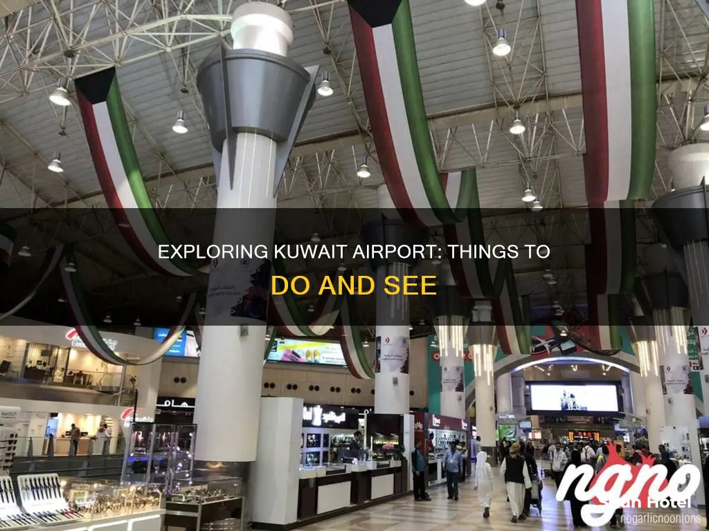 what to do in kuwait airport