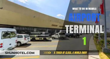 Exploring Manila Airport Terminal 1: A Traveler's Guide