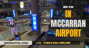 Exploring McCarran Airport: Things to Do and See