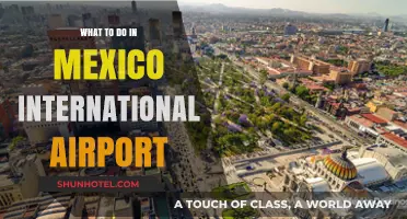 Exploring Mexico International Airport: Top Activities and Hidden Gems