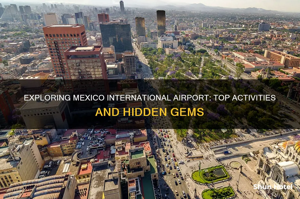 what to do in mexico international airport