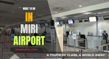 Exploring Miri Airport: Activities and Nearby Attractions
