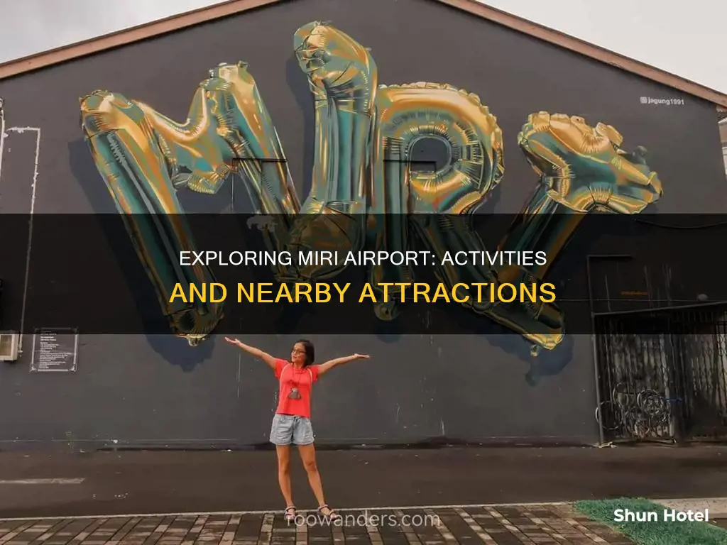 what to do in miri airport