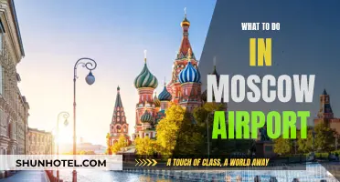Exploring Moscow Airport: Things to Do and See