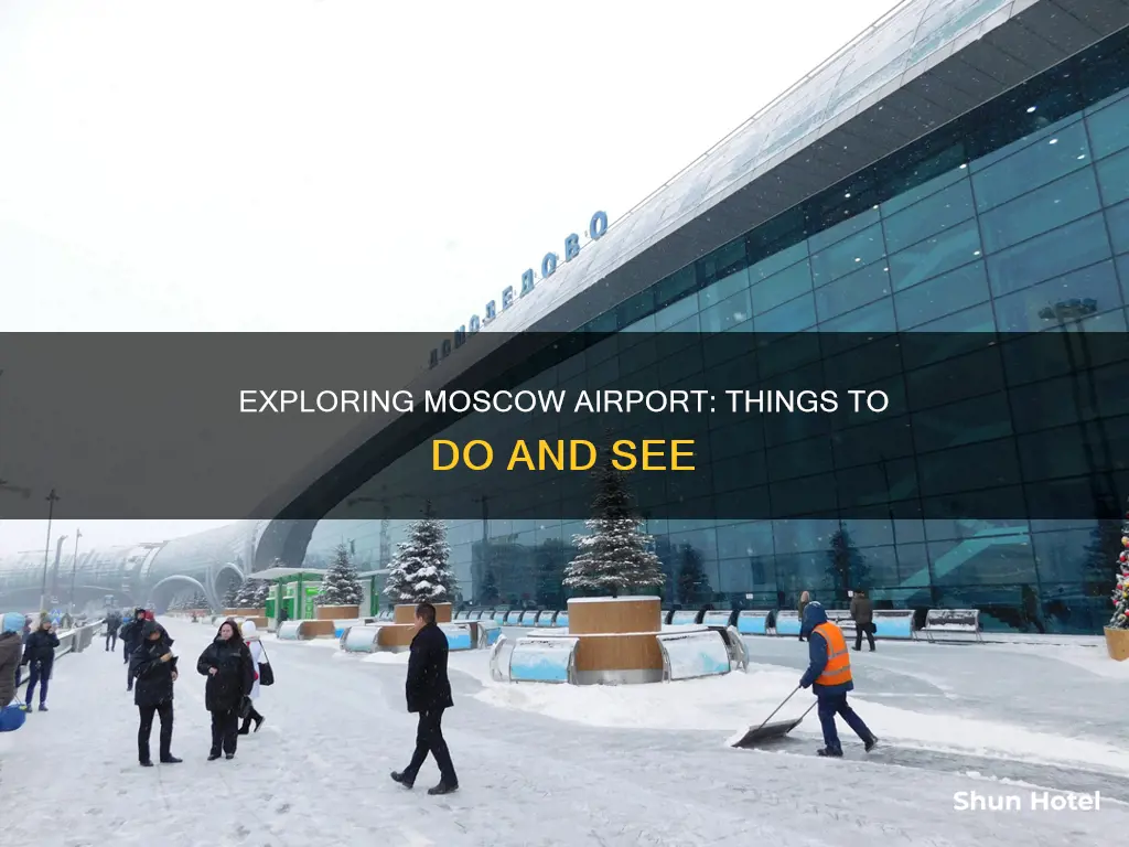 what to do in moscow airport