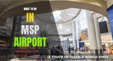 MSP Airport: Things to Do While Waiting for Your Flight