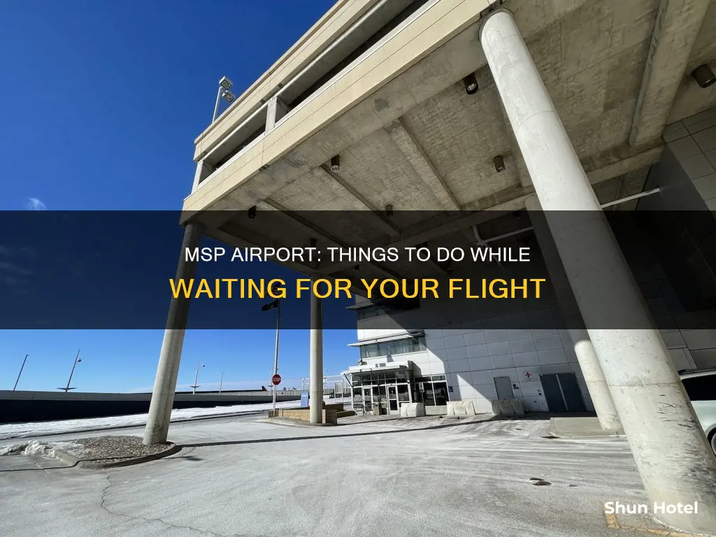 what to do in msp airport