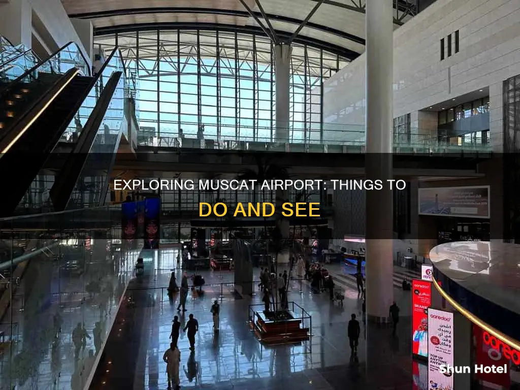 what to do in muscat airport