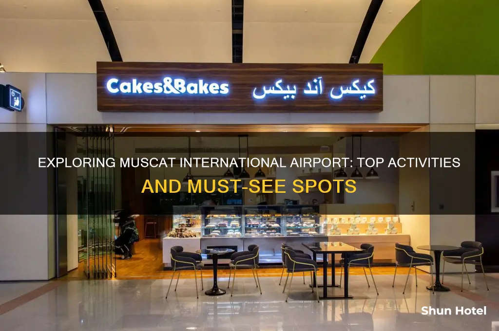 what to do in muscat international airport