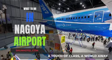 Nagoya Airport: Top Activities and Attractions