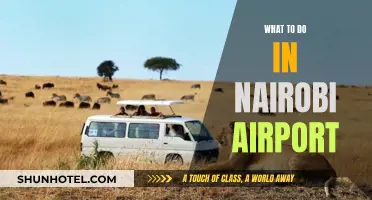 Exploring Nairobi: Airport Layover Ideas