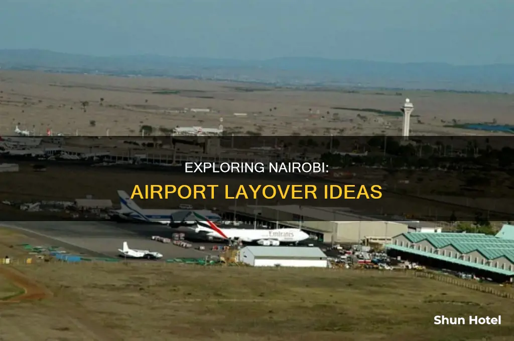 what to do in nairobi airport