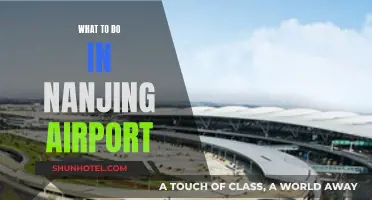 Exploring Nanjing Airport: Tips and Tricks