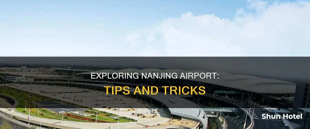 what to do in nanjing airport