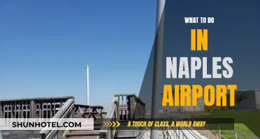 Exploring Naples: Airport Attractions and Activities