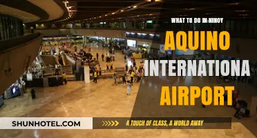Exploring NAIA: Top Activities and Tips at Ninoy Aquino Airport