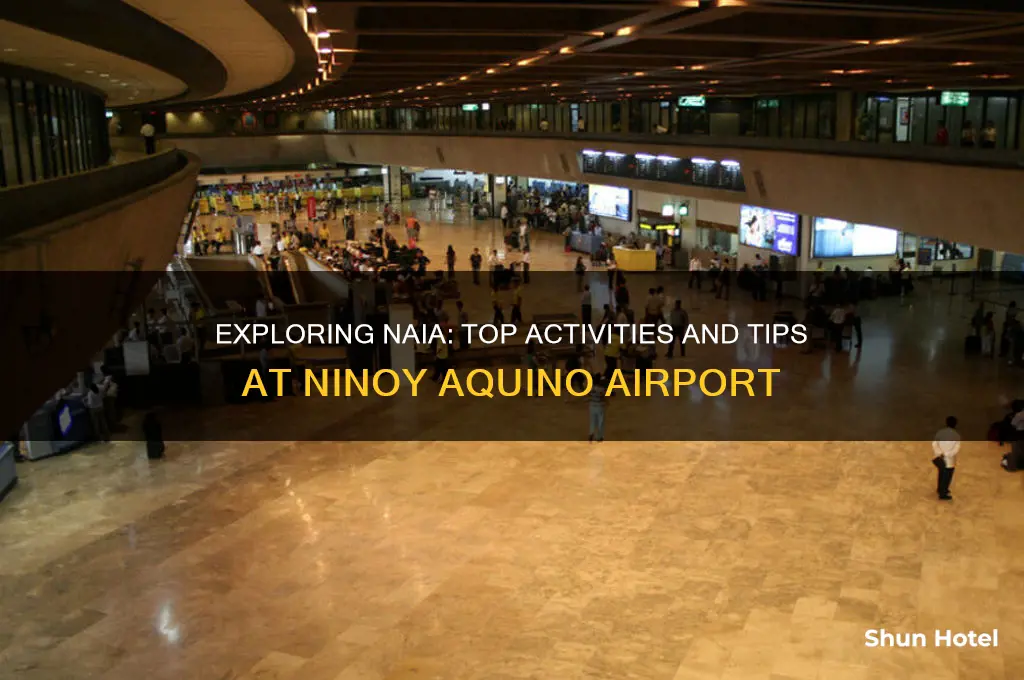 what to do in ninoy aquino international airport