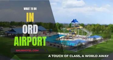 Explore Changi: Activities at Singapore's ORD Airport
