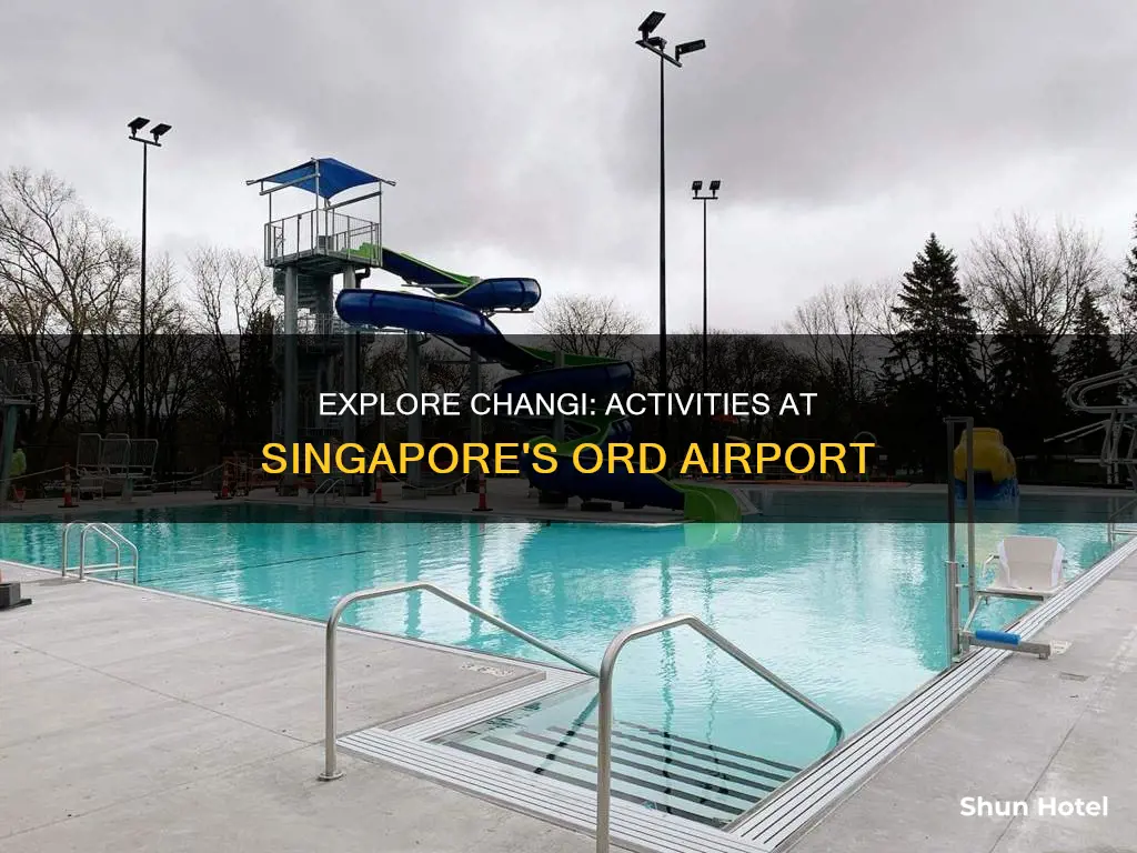 what to do in ord airport