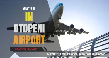 Exploring Otopeni Airport: Things to Do and See