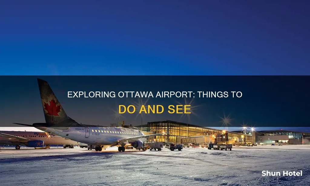 what to do in ottawa airport