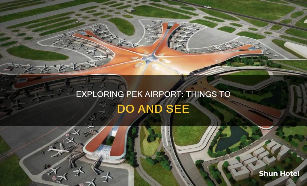 what to do in pek airport