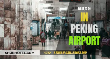Exploring Peking Airport: Things to Do and See