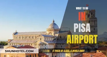Exploring Pisa: Airport Layover Activities