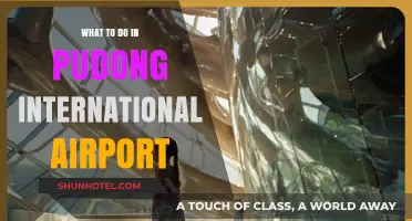 Exploring Pudong Airport: Top Activities and Hidden Gems to Discover