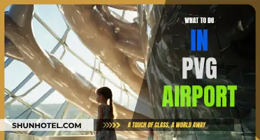 Explore PVG Airport: Activities and Attractions