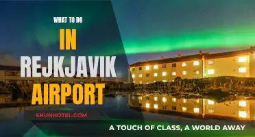 Exploring Reykjavik: Airport Layover Activities