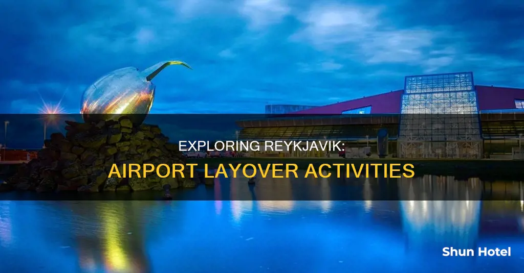 what to do in rejkjavik airport