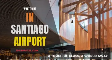 Exploring Santiago Airport: Things to Do and See