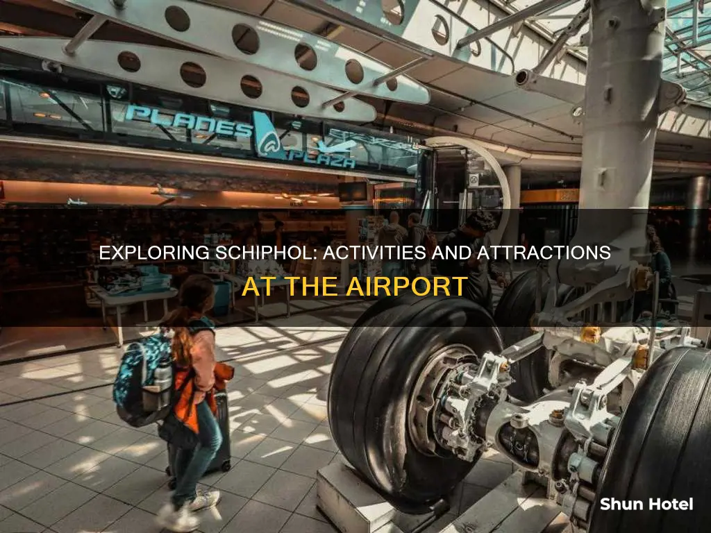what to do in schipol airport
