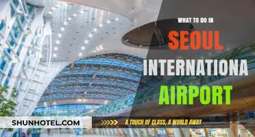 Exploring Seoul International Airport: Top Activities and Hidden Gems