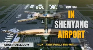 Exploring Shenyang: Airport Activities and Attractions